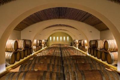 Bisignano: visita al viñedo y cata de vinos.