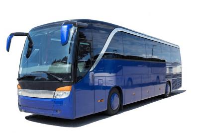 PISA por BUS mejor precio PISA por BUS mejor precio