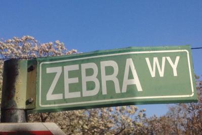 No.1 Tour literario de la Agencia de detectives de damas (Mma Ram