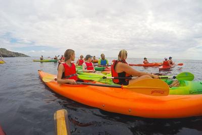 Experiencias de kayak en Salento Experiencias de kayak en Salento