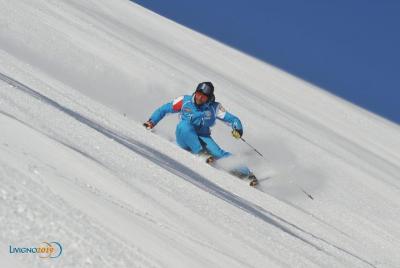 Clases privadas de estilo libre: esquí