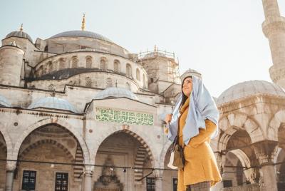 Tour a pie de medio día por el casco antiguo de Estambul