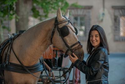 Paseo en carruaje por el centro histórico de lucca.