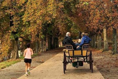 Paseo en carruaje por las murallas renacentistas de lucca.
