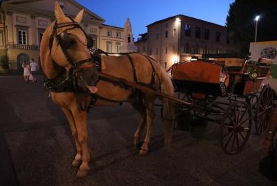 Recorrido completo por la ciudad y las murallas.