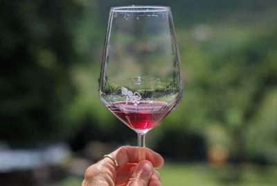 En bicicleta al Valle del Vino