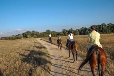Parque Murgia: tour a caballo