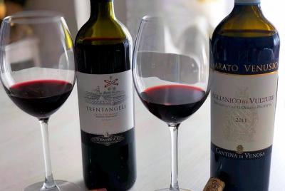 Guía de turismo de Venosa: visita guiada con degustación de vino 