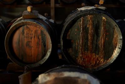 Área de Reggio Emilia: experiencia de cata de vinagre balsámico “