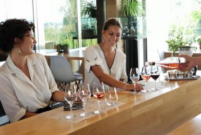 Cata de vinos y vinagres en Castelvetro di Modena