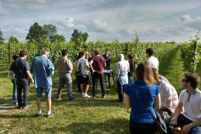 Visita a la empresa con degustación.