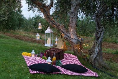 Pic Nic en el encantador Olivar Toscano Pic Nic en el encantador Olivar Toscano