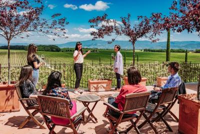 Zona Montepulciano: Visita a la bodega con degustación. Zona Montepulciano: Visita a la bodega con degustación.