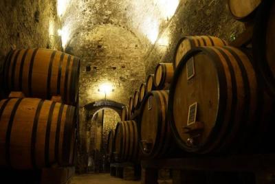 Degustación de vinos y visita de la bodega más hermosa del mundo