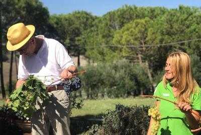 Degustación exclusiva de vinos en Montepulciano con almuerzo lige Degustación exclusiva de vinos en Montepulciano con almuerzo lige