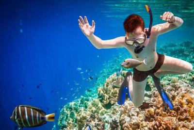 Recorrido turístico en barco y experiencia de esnórquel en Cerdeñ