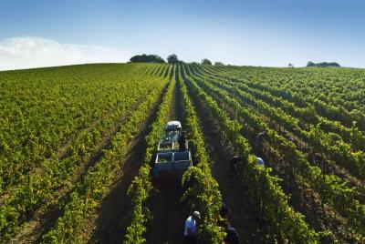 Experiencia de cata de vinos cerca de Orvieto.