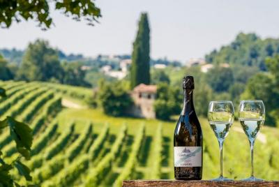 Valdobbiadene (Treviso): experiencia de degustación de Prosecco Valdobbiadene (Treviso): experiencia de degustación de Prosecco