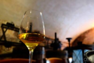 Degustación de vinos en las colinas venecianas. Degustación de vinos en las colinas venecianas.