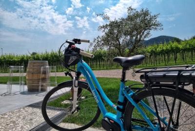 Tour en bicicleta con cata de vinos en las colinas Euganeas desde Tour en bicicleta con cata de vinos en las colinas Euganeas desde