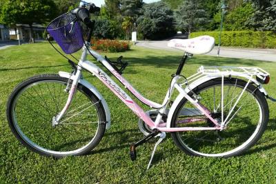 Alquiler de bicicletas para niños. Alquiler de bicicletas para niños.