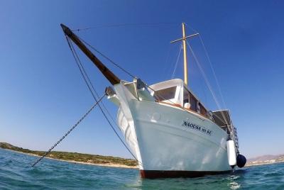 Crucero de día completo en Antiparos y Despotiko con barbacoa Crucero de día completo en Antiparos y Despotiko con barbacoa