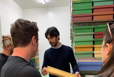 Apicultura ADI: pioneros de la miel orgánica italiana. Apicultura ADI: pioneros de la miel orgánica italiana.