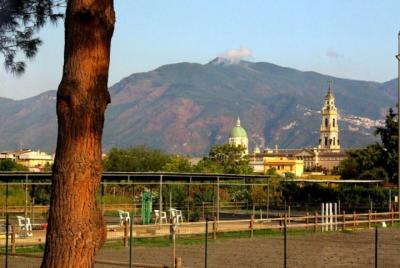 Tour privado de vino y degustación en Pompeya. Tour privado de vino y degustación en Pompeya.