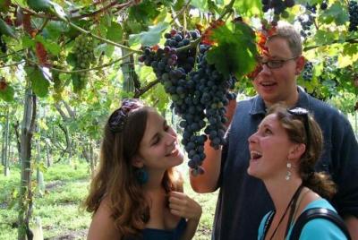 monte Vesuvio Cata de vinos y almuerzo de Pompeya