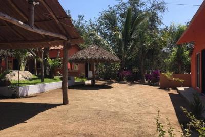 Water Fall Tour 5 horas Áreas rurales con danitours