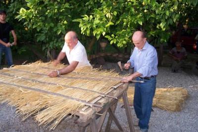 Descubre un Lemon Grove con demostración y almuerzo desde Sorrent