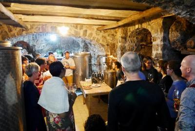 Cata de vinos y quesos ecológicos - Taller de mozzarella.