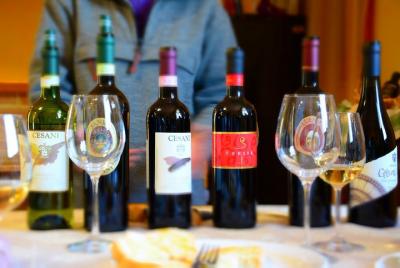 Cesani Wine Experience