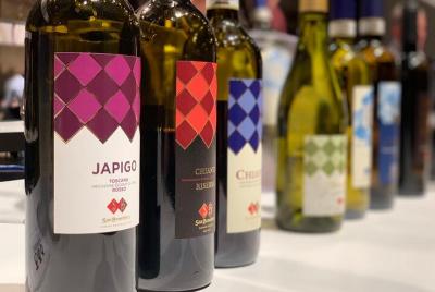 Visita privada a la bodega en San Gimignano con degustación