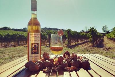 Cata de vinos Maxi Gourmet Cata de vinos de San Gimignano - Bodeg