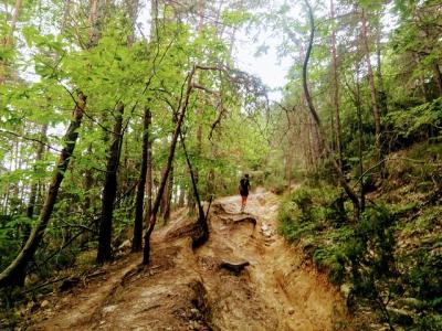 Caminata de un día en las montañas de Sanremo.