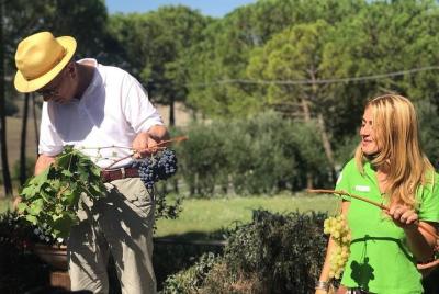 Excursión enogastronómica desde Siena: Montalcino, Pienza y Monte Excursión enogastronómica desde Siena: Montalcino, Pienza y Monte