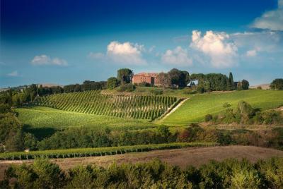 Montalcino: experiencia de cata de vinos Brunello