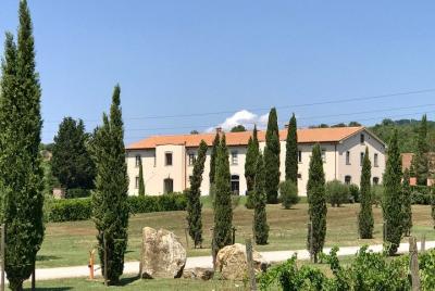 Fertuna en la terraza