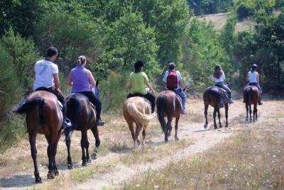 Excursión a caballo por Tuscan Hills desde Siena