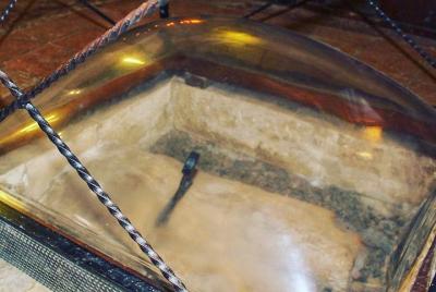 Tour privado: la abadía de San Galgano, la leyenda toscana de la 