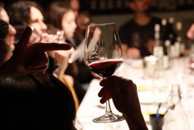 Discovery Wine Experience