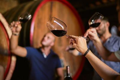 Cata completa de Castello di Bossi