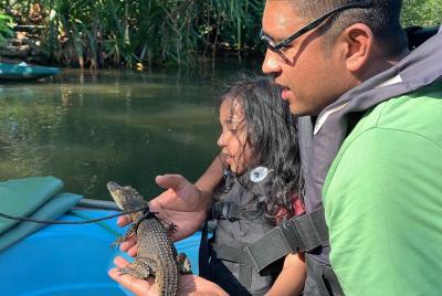 Vehículo privado con chofer para tours