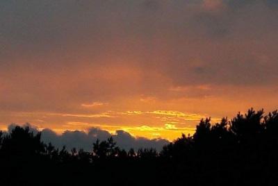 Caminata de un día a la colina Nagarjun