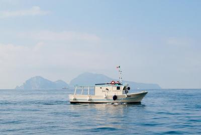 SalBoat Sorrento, Capri y excursiones de pesca.
