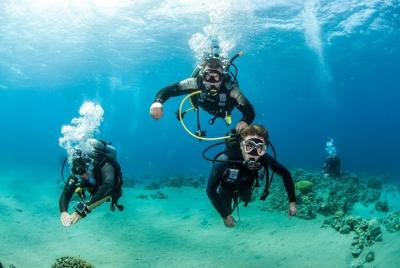 Orange bay 6 * 1 (buceo y esnórquel y semi submarino y deportes a