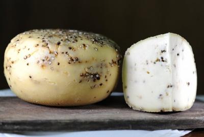 Experiencia de mozzarella