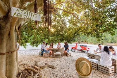 Degustación de aceite de oliva en una masseria con traslado desde