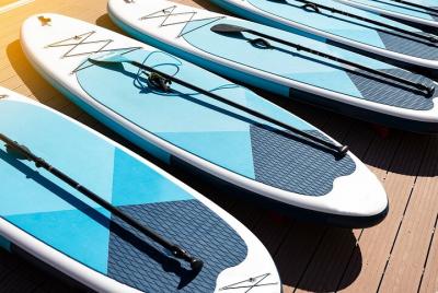 Curso de Paddle Surf en Torrevieja